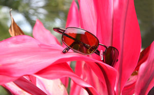 What Makes Caribbean Sun Sunglasses Unique?