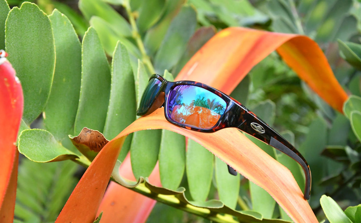 Caribbean sun sunglasses best sale