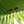 Load image into Gallery viewer, Duck Key - Caribbean Sun Eyewear