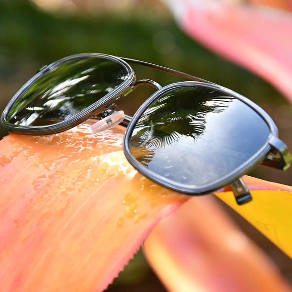 Cooco Bay - Caribbean Sun Eyewear