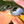 Load image into Gallery viewer, Cooco Bay - Caribbean Sun Eyewear