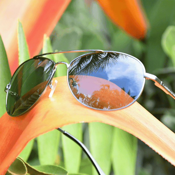 St. Maarten - Caribbean Sun Eyewear
