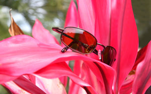 What Makes Caribbean Sun Sunglasses Unique?