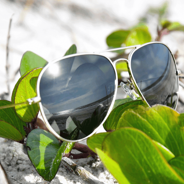 Eastpoint - Caribbean Sun Eyewear 
