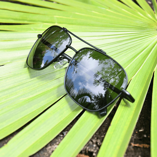 Parrot Cay - Caribbean Sun Eyewear 