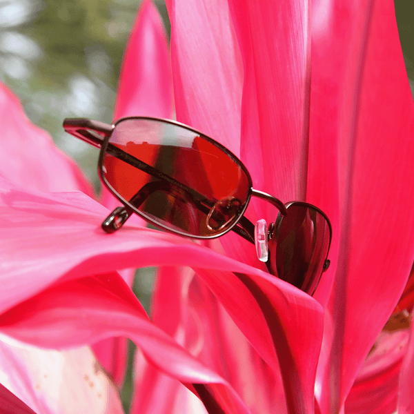 Tobago - Caribbean Sun Eyewear 
