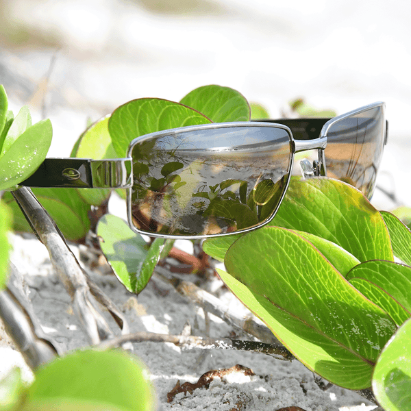 Turks - Caribbean Sun Eyewear 